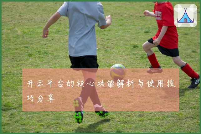 开云平台的核心功能解析与使用技巧分享
