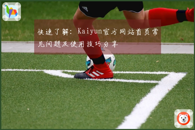 快速了解：Kaiyun官方网站首页常见问题及使用技巧分享