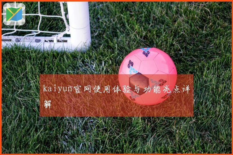 kaiyun官网使用体验与功能亮点详解